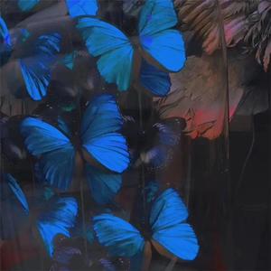 鲤鱼乡H男男嗯啊粗大
