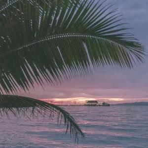 鲤鱼乡H男男嗯啊粗大
